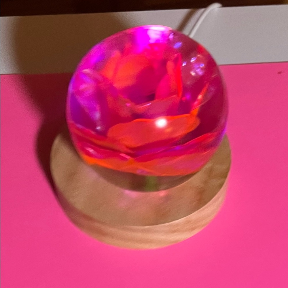 “Forever Rose” Resin Orb Lamp Gift Box Set
